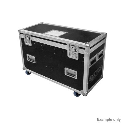 Pro Case for 2 X Artiste DaVinci old